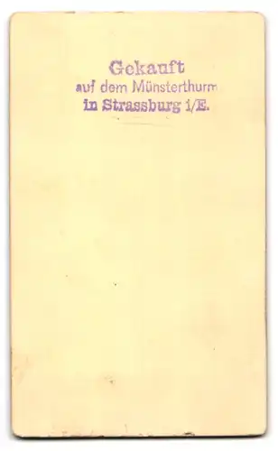 Fotografie unbekannter Fotograf, Ansicht Strassburg i. Els., das Strassburger Münster