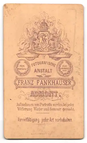 Fotografie Franz Frankhauser, Admont, Ansicht Admont, Blick auf die Stift Kirche