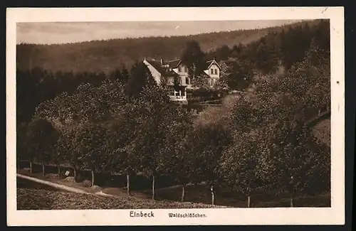 AK Einbeck, Waldschlösschen mit Umgebung