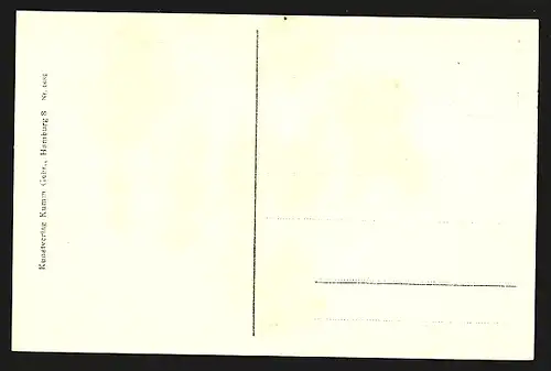 AK Celle, Vaterländisches Museum