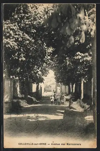 AK Colleville-sur-Orne, Avenue des Marronniers