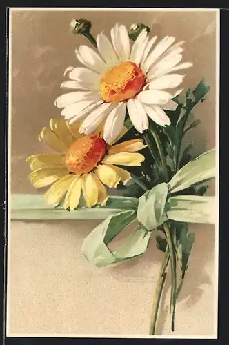 Künstler-AK Catharina Klein: Margueritenblüten mit Schleifband