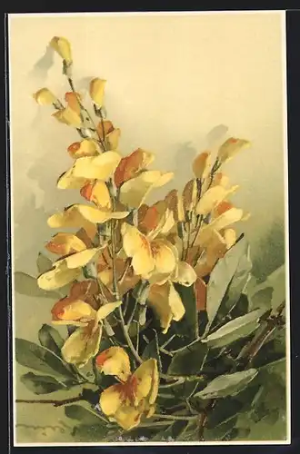 Künstler-AK Catharina Klein: Zweig mit gelben Blüten