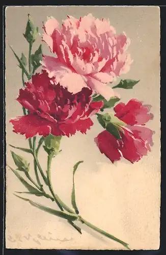 Künstler-AK Catharina Klein: rote und rosafarbene Blüten in voller Pracht