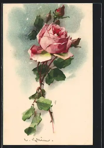 Künstler-AK Catharina Klein: Rose mit grosser Blüte und Knospen mit Stängel und Blätter