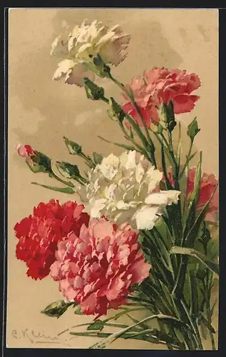 Künstler-AK Catharina Klein: Weiss und rosa blühender Nelken