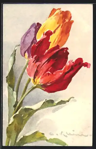 Künstler-AK Catharina Klein: blühende Tulpen