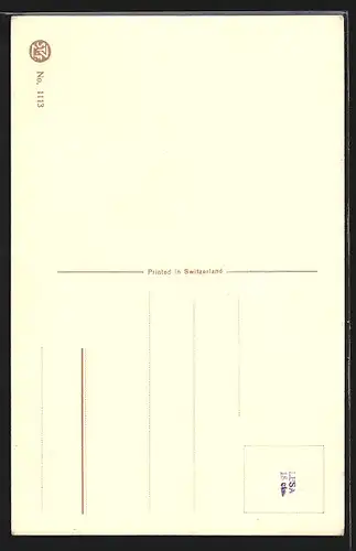 Künstler-AK Catharina Klein: blühende Tulpen