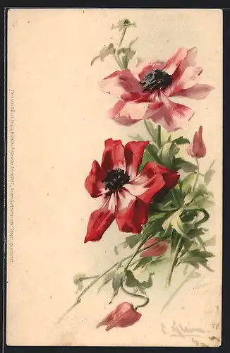 Künstler-AK Catharina Klein: Blume mit roten und rosafarbenen Blüten