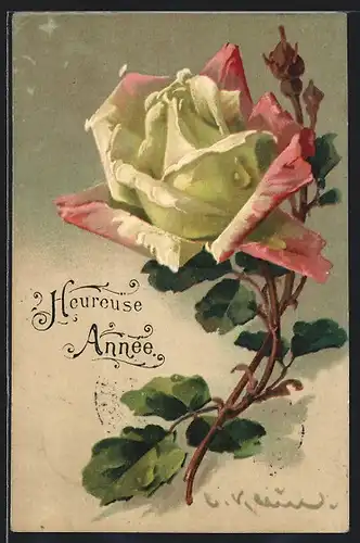 Künstler-AK Catharina Klein: Gelb und rosa blühende Rose