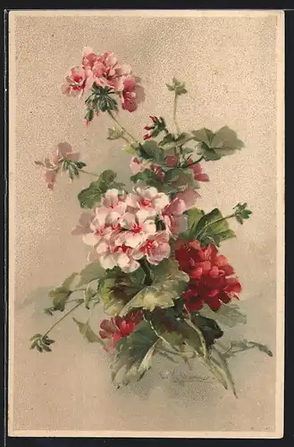 Künstler-AK Catharina Klein: Rosa Blumen mit doldenartigem Blütenstand