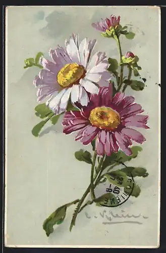 Künstler-AK Catharina Klein: Violette Gerbera