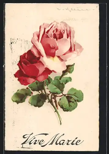 Künstler-AK Catharina Klein: Vive Marie, zwei blühende Rosen