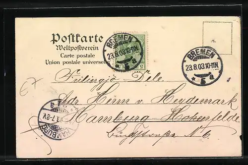 Lithographie Bremen, Weserbrücke, Freihafen, Schnelldampfer des Nord-Lloyd