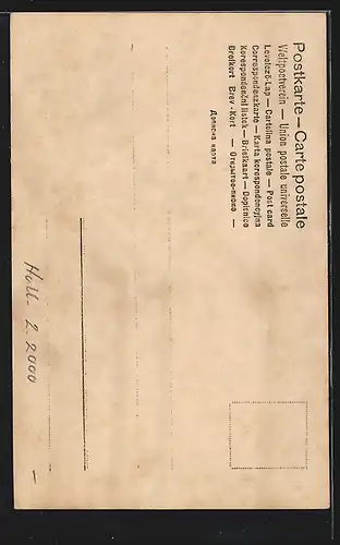 AK Papst Pius X. mit segnender Hand