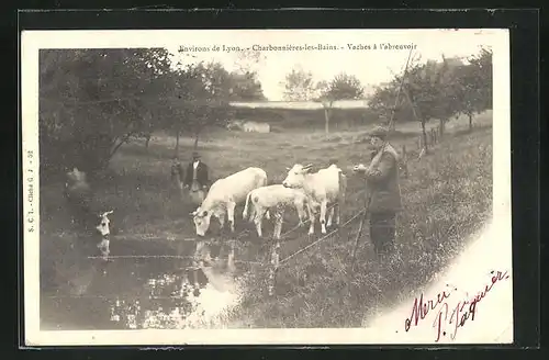 AK Charbonnières-les-Bains, Vaches à l`abreuvoir, Kühe an der Tränke