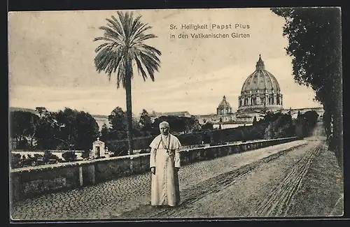 AK Sr. Heiligkeit Papst Pius X. in den Vatikanischen Gärten