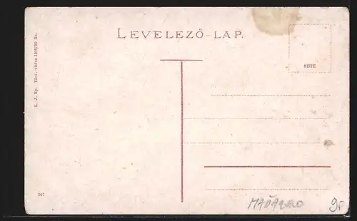 AK Maramarossziget, Szlatinai-ut