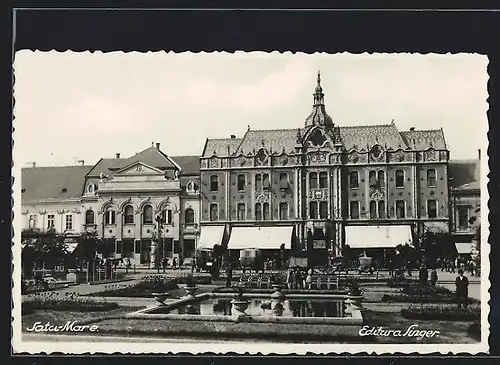 AK Satu-Mare, Prächtiges Haus und Anlagen