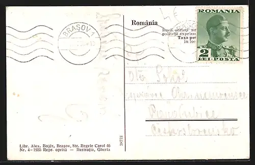 AK Brasov, Vedere generala cu cetatuia