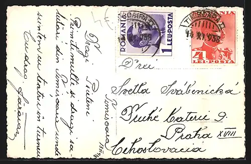 AK Timisoara, Vedere din Cetate