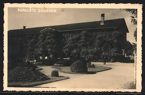 AK Daruvar, Kupaliste