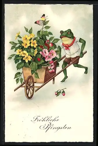 Künstler-AK Pfingstgruss, Frosch mit Schubkarre voller Blumen