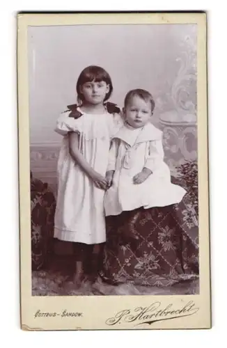 Fotografie P. Hartbrecht, Cottbus-Sandow, Kleines Mädchen im Kleid mit Geschwisterkind