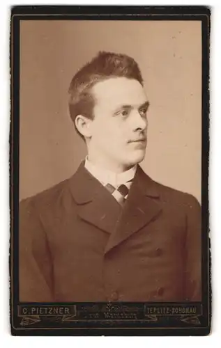 Fotografie C. Pietzner, Teplitz-Schönau, Stattlicher Herr im Anzug mit Krawatte