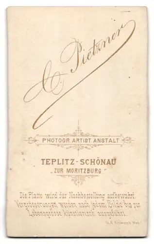 Fotografie C. Pietzner, Teplitz-Schönau, Stattlicher Herr im Anzug mit Krawatte