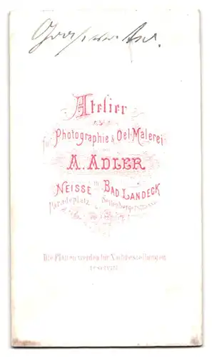 Fotografie A. Adler, Neisse, Paradeplatz, Älterer Herr mit Vollbart und zurückgekämmten Haaren im grauen Anzug