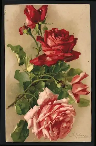 Künstler-AK Catharina Klein: Rote und rosa Rosenblüten