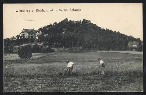 AK Reinhardtsdorf, Gasthaus Wolfsberg