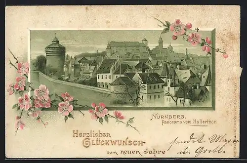 Lithographie Nürnberg, Panorama vom Hallerthor