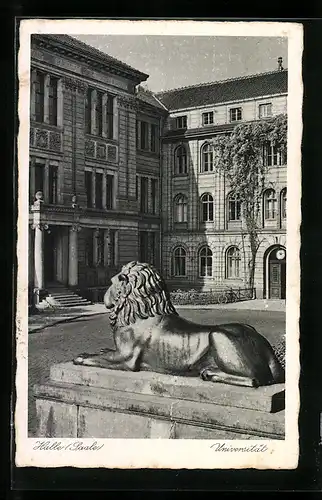 AK Halle /Saale, Universität, Löwenstatue