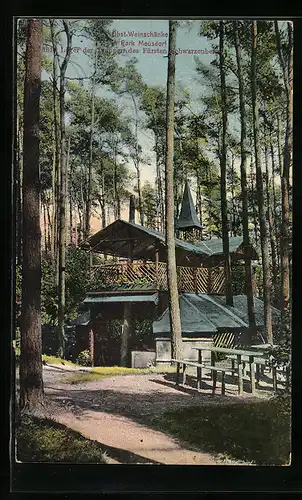 AK Leipzig, Gasthaus Obst-Weinschänke im Park Meusdorf