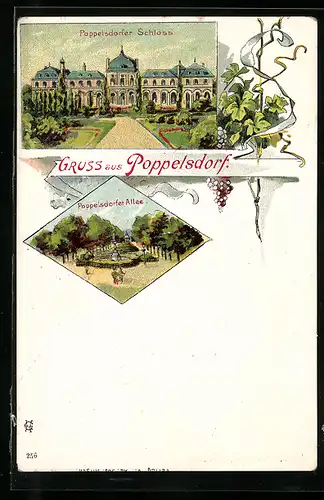 Lithographie Poppelsdorf, Schloss, Poppelsdorfer Allee