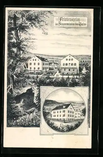 AK Stammheim bei Calw, Ansicht vom Friedensheim