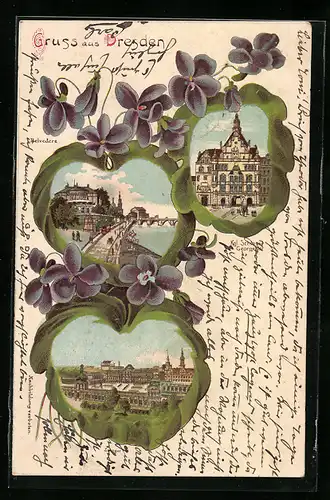 Passepartout-Lithographie Dresden, Kgl. Schloss, Belvedere, Kgl. Grosser Garten