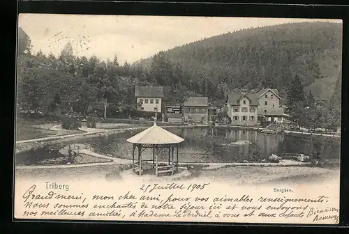 AK Triberg, Partie am Bergsee