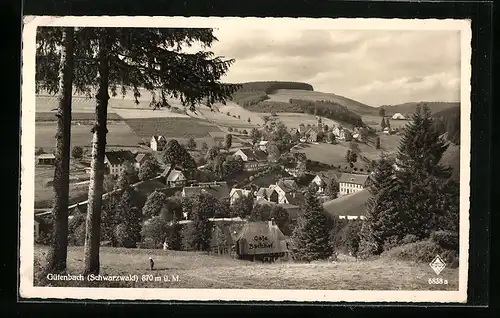 AK Gütenbach /Schwarzwald, Teilansicht mit Bäumen
