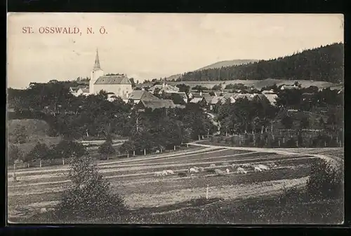 AK St. Osswald, Ortsansicht, Schafherde