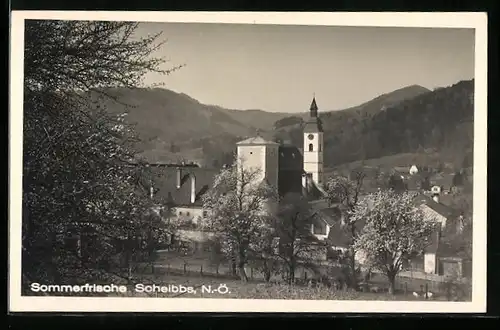 AK Scheibbs, Ortsansicht im Frühling