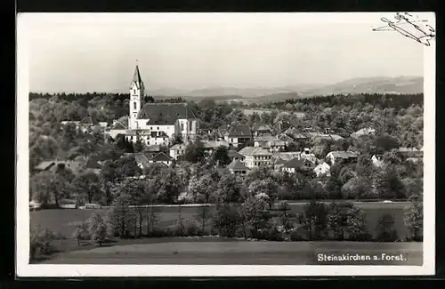 AK Steinakirchen a. Forst, Gesamtansicht mit Kirche