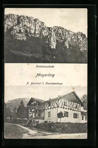 AK Mayerling, F. Bachners Touristenhaus, Peilsteinwände