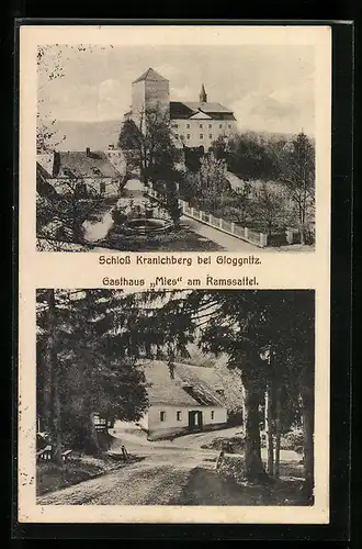 AK Gloggnitz, Gasthaus Mies am Ramssattel, Schloss Kranichberg