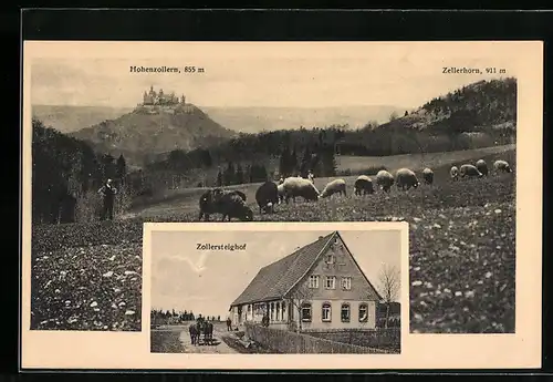 AK Hohenzollern, Zollersteighof, Blick zum Zellerhorn mit Schafherde