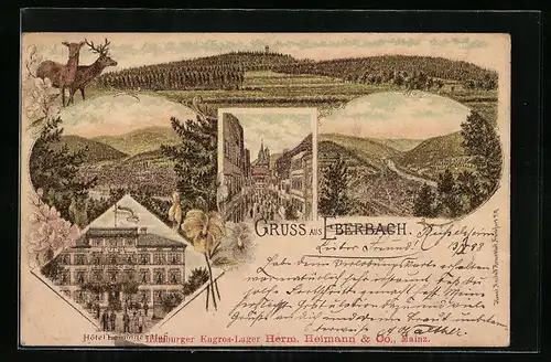 Lithographie Eberbach, Hotel Leininger Hof, Totalansicht