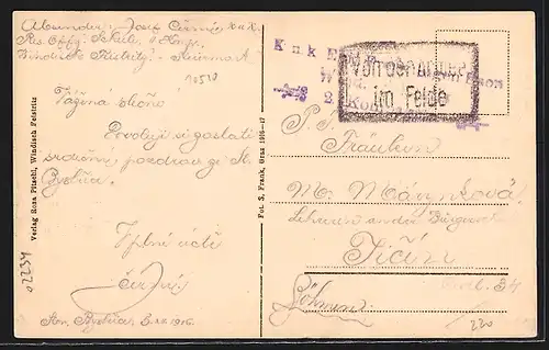 AK Windisch Feistritz, Totalansicht von einem Feld aus