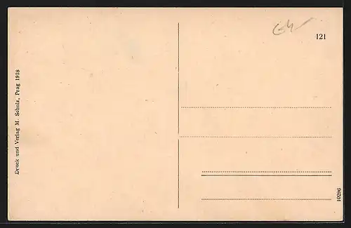 AK Brioni, Dampfer an Anlegestelle